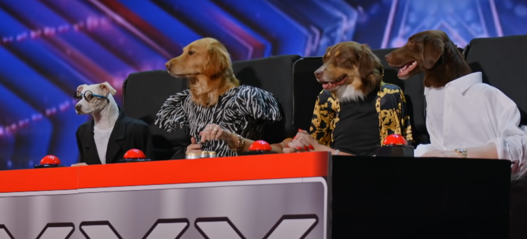 ‘America’s Got Talent’ Dog Act is Most Confusing Yet Intriguing Thing